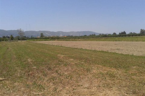 Land in Zakynthos, Greece No. 28099 8