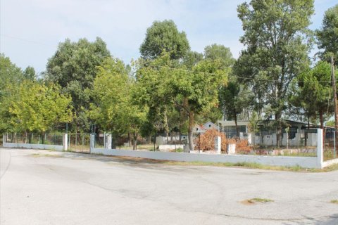 150m² Commercial property in Pieria, Greece No. 49436 8