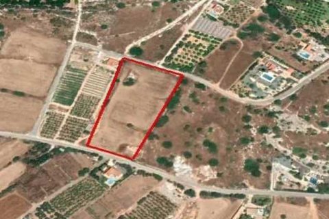 9985m² Land à Pegeia, Cyprus No. 35690 1