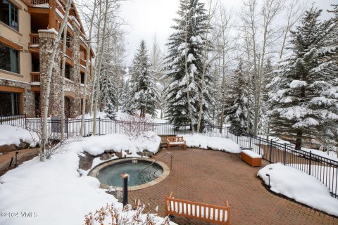 2 chambres Copropriété  à Beaver Creek, USA No. 62090 19