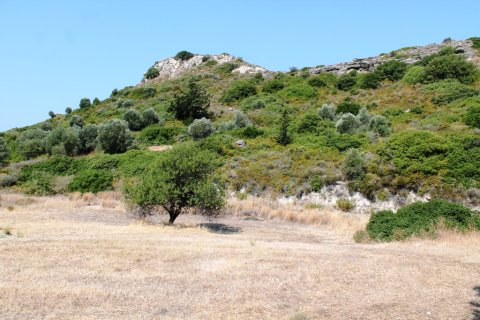 46000m² Land in Rhodes, Greece No. 59521 22