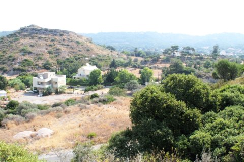 46000m² Land en Rhodes, Greece No. 59521 28