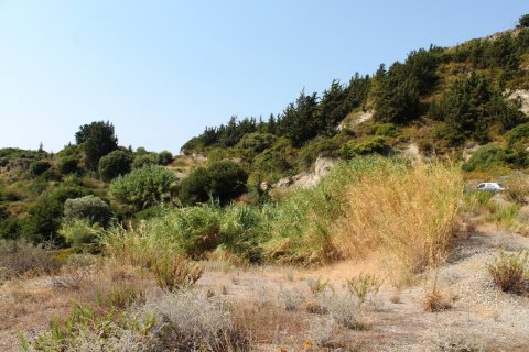 46000m² Land en Rhodes, Greece No. 59521 15