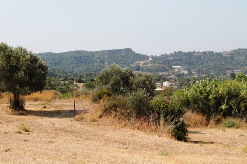 46000m² Land en Rhodes, Greece No. 59521 21