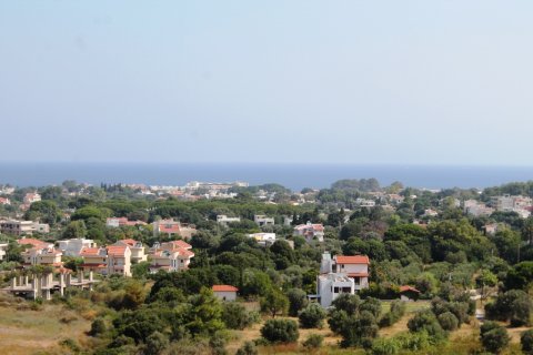 46000m² Land in Rhodes, Greece No. 59521 29