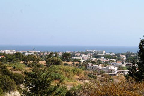 46000m² Land à Rhodes, Greece No. 59521 18