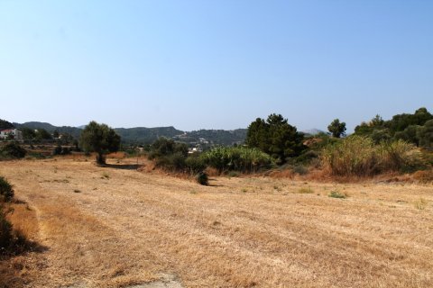 46000m² Land à Rhodes, Greece No. 59521 23