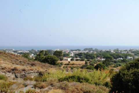 46000m² Land à Rhodes, Greece No. 59521 9