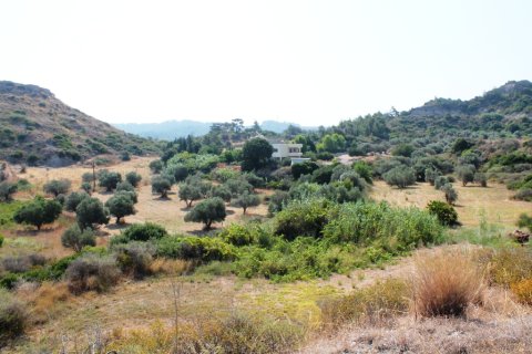 46000m² Land in Rhodes, Greece No. 59521 13