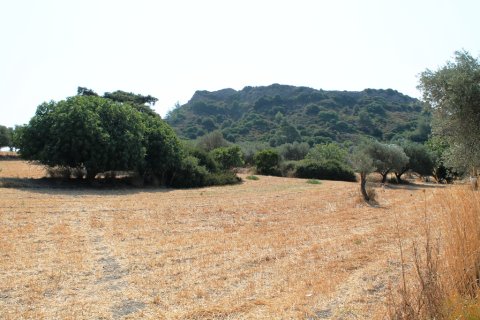 46000m² Land en Rhodes, Greece No. 59521 17