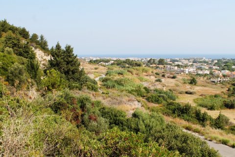 46000m² Land in Rhodes, Greece No. 59521 25