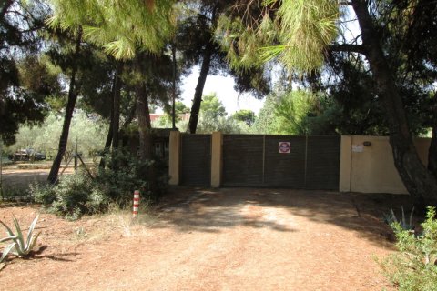 260m² Maisonnette à Chalkidiki, Greece No. 59524 3