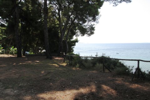 260m² Maisonnette à Chalkidiki, Greece No. 59524 26