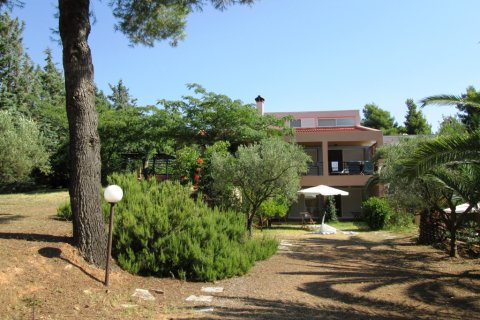 260m² Maisonnette à Chalkidiki, Greece No. 59524 2