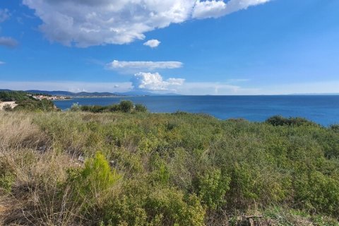 4913m² Land in Polygyros, Greece No. 54896 6