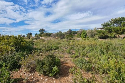 4913m² Land en Polygyros, Greece No. 54896 7