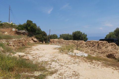 6000m² Land à Corfu, Greece No. 56012 3