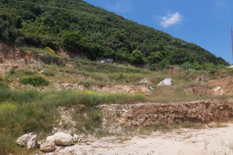 6000m² Land in Corfu, Greece No. 56012 8