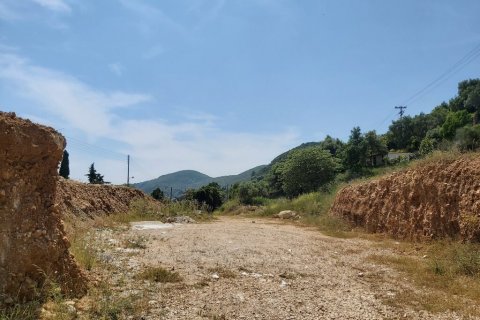 6000m² Land in Corfu, Greece No. 56012 9