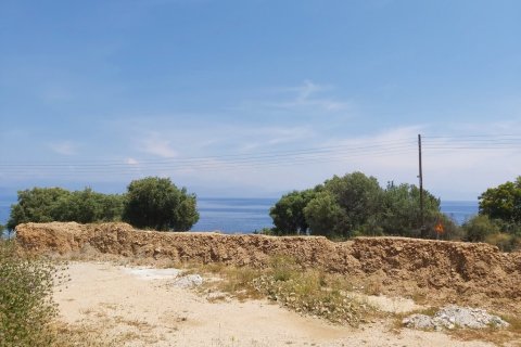 6000m² Land in Corfu, Greece No. 56012 2