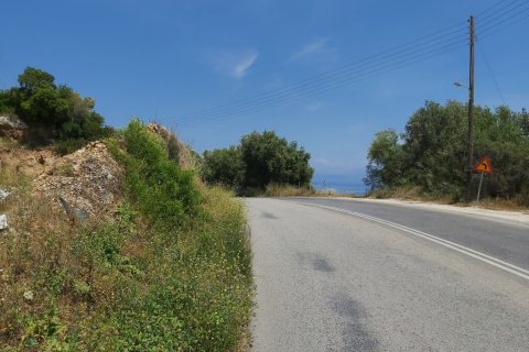 6000m² Land en Corfu, Greece No. 56012 7