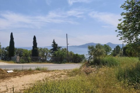 6000m² Land en Corfu, Greece No. 56012 1