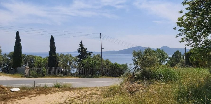 6000m² Land in Corfu, Greece No. 56012