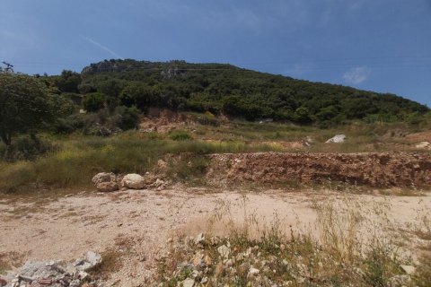 6000m² Land à Corfu, Greece No. 56012 6