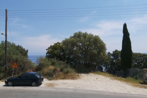 6000m² Land in Corfu, Greece No. 56012 12