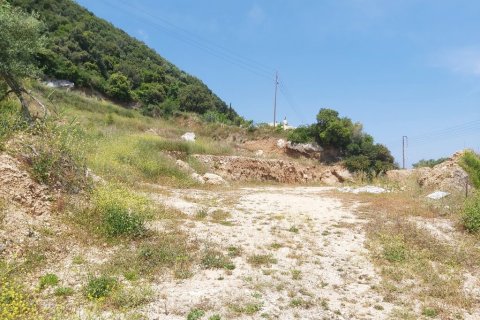 6000m² Land in Corfu, Greece No. 56012 4