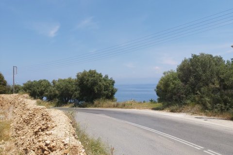 6000m² Land en Corfu, Greece No. 56012 13