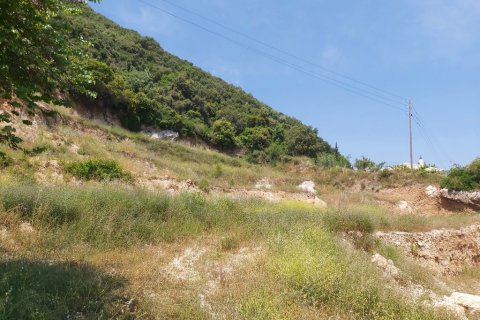 6000m² Land en Corfu, Greece No. 56012 5