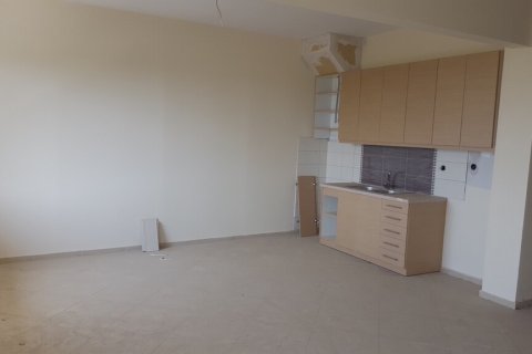 Здание 6000м² в Халкидики, Греция №56011 12