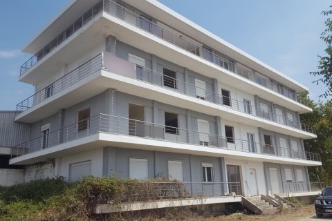 6000m² Building in Chalkidiki, Greece No. 56011 1