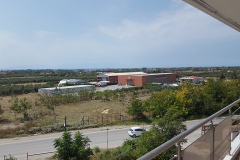 6000m² Building in Chalkidiki, Greece No. 56011 7