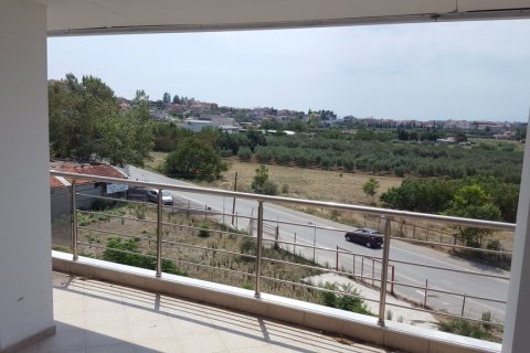 6000m² Building in Chalkidiki, Greece No. 56011 5