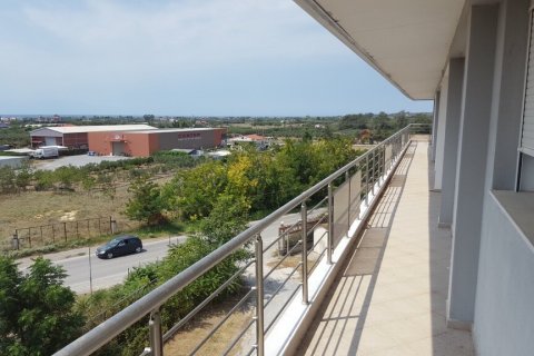 6000m² Building in Chalkidiki, Greece No. 56011 6