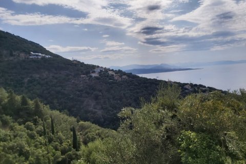 18000m² Land in Corfu, Greece No. 55910 25