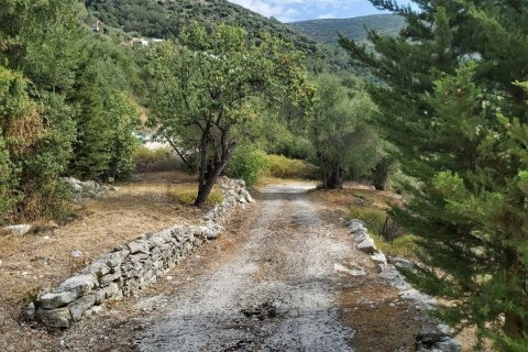 18000m² Land en Corfu, Greece No. 55910 14