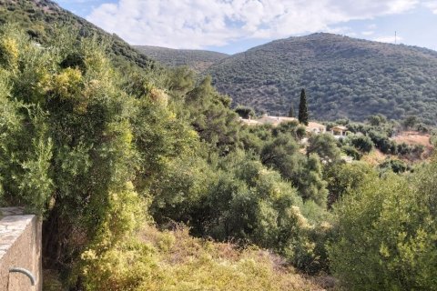 18000m² Land in Corfu, Greece No. 55910 7