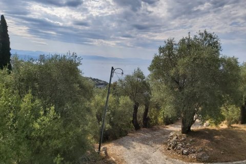 18000m² Land in Corfu, Greece No. 55910 3