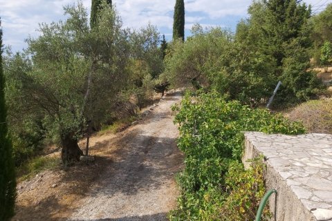 18000m² Land in Corfu, Greece No. 55910 8