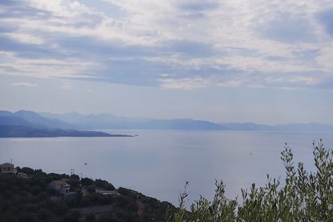 18000m² Land en Corfu, Greece No. 55910 21