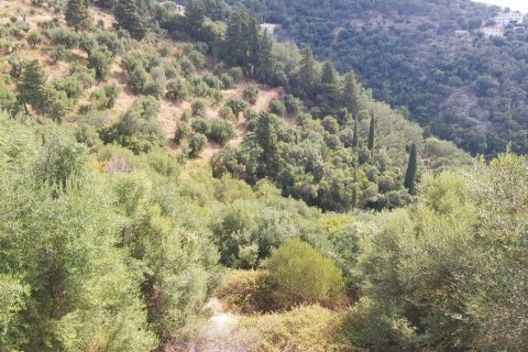 18000m² Land in Corfu, Greece No. 55910 26