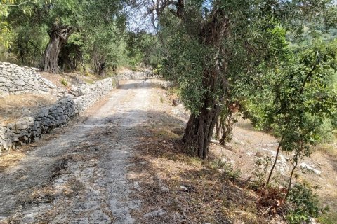 18000m² Land en Corfu, Greece No. 55910 16