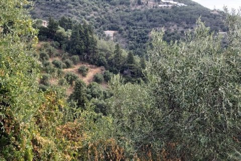 18000m² Land in Corfu, Greece No. 55910 30