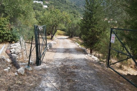 18000m² Land en Corfu, Greece No. 55910 27