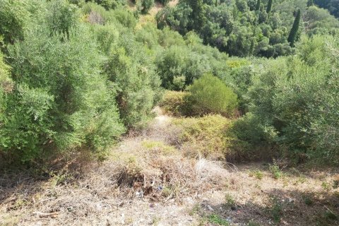 18000m² Land en Corfu, Greece No. 55910 23