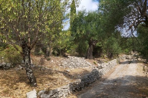 18000m² Land in Corfu, Greece No. 55910 18