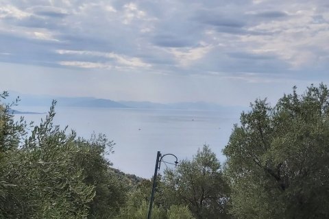 18000m² Land en Corfu, Greece No. 55910 2